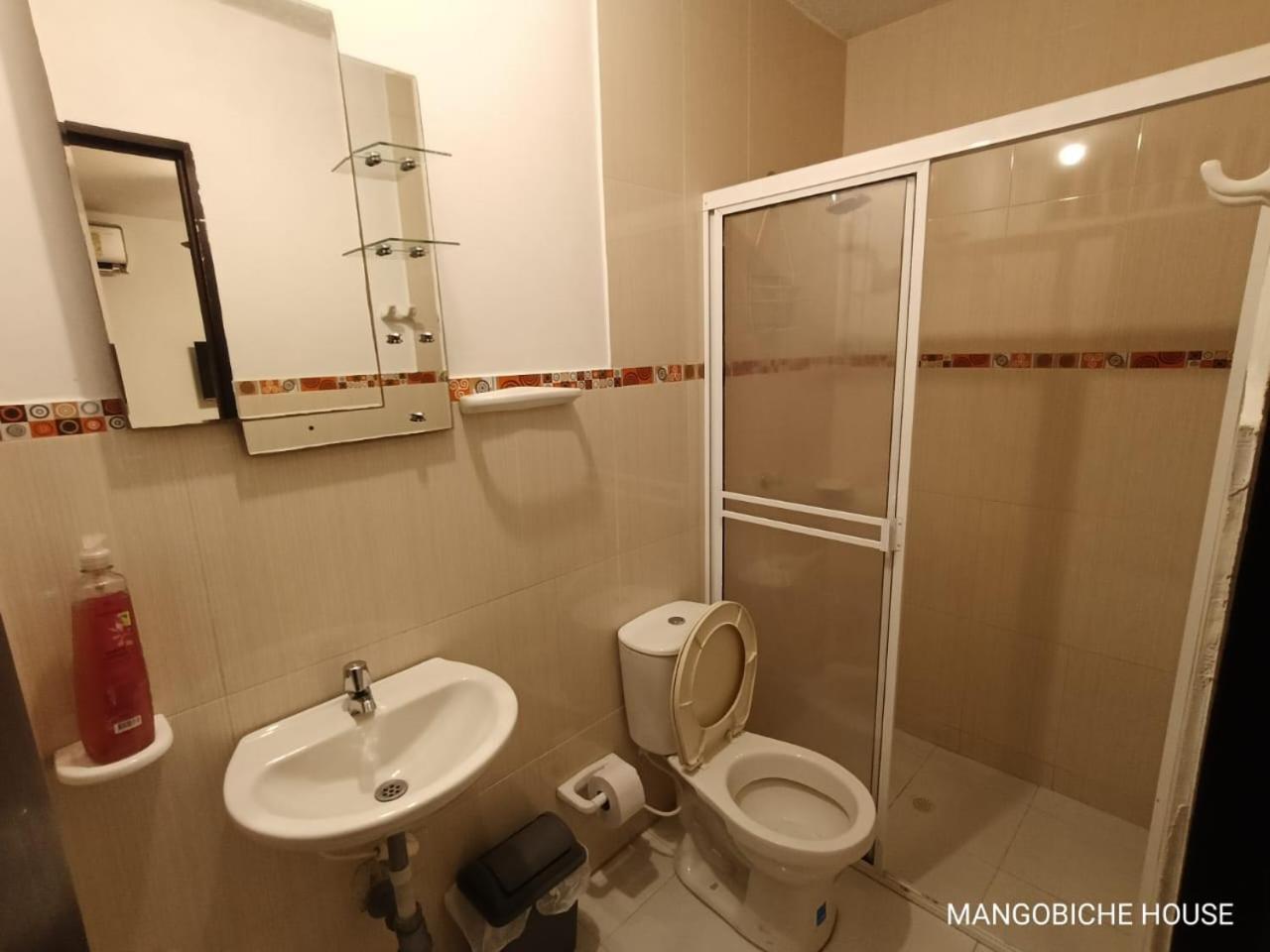 Mango Biche - House