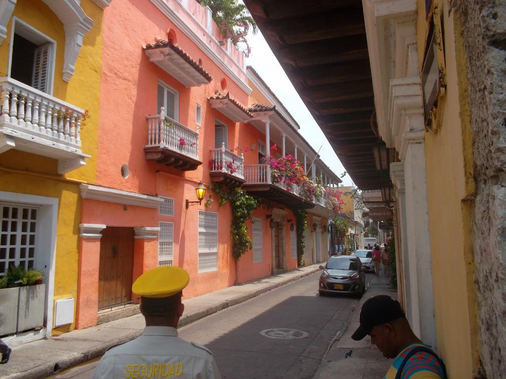 Delfines Del Caribe