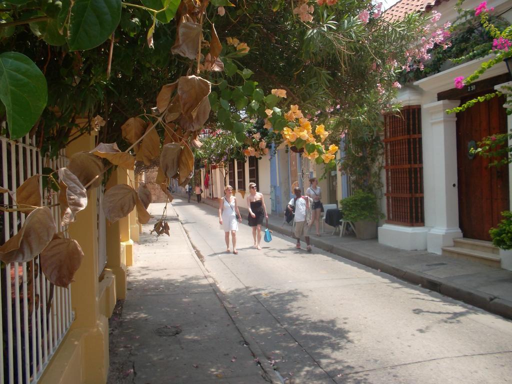 Delfines Del Caribe * Cartagena