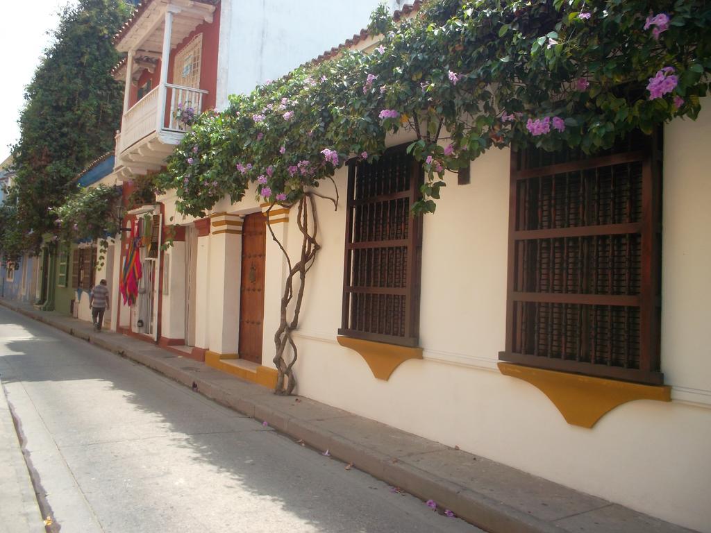Delfines Del Caribe Cartagena