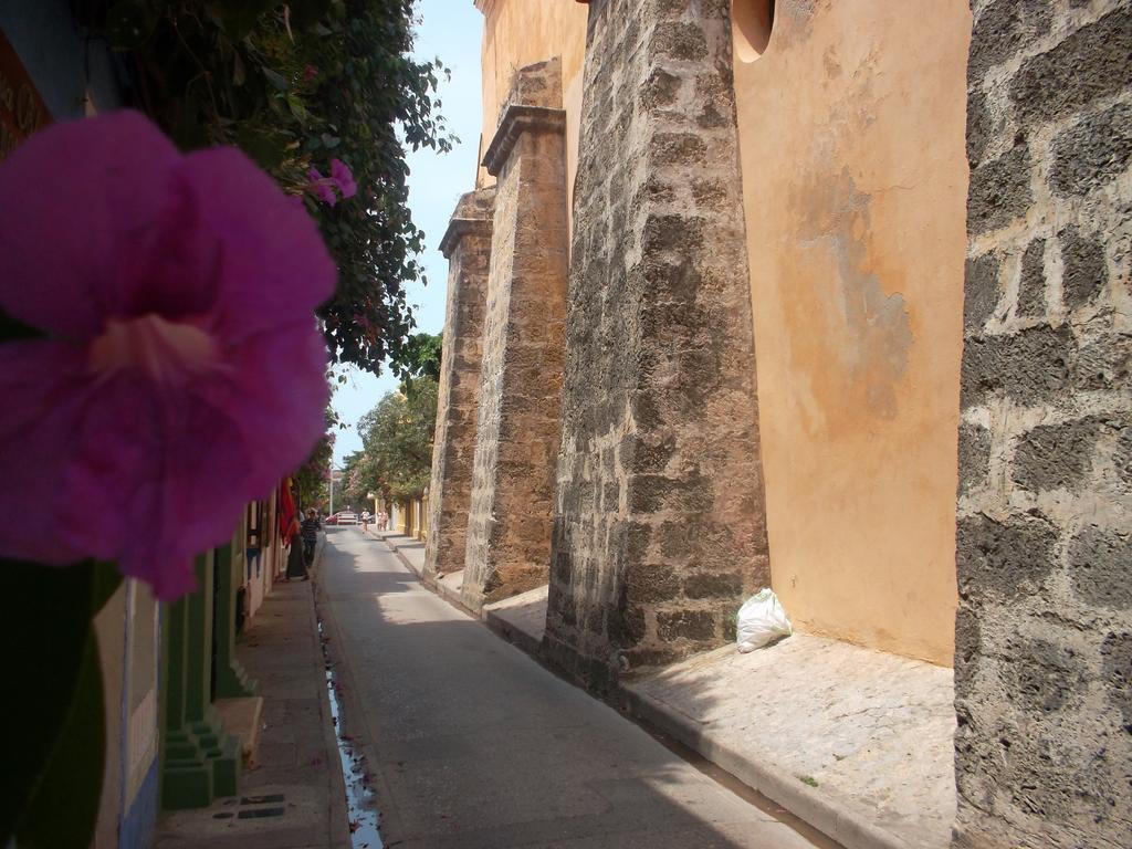 Delfines Del Caribe Cartagena