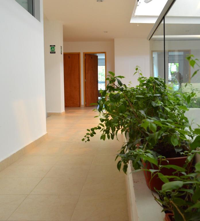 Hostal Casa Moma *