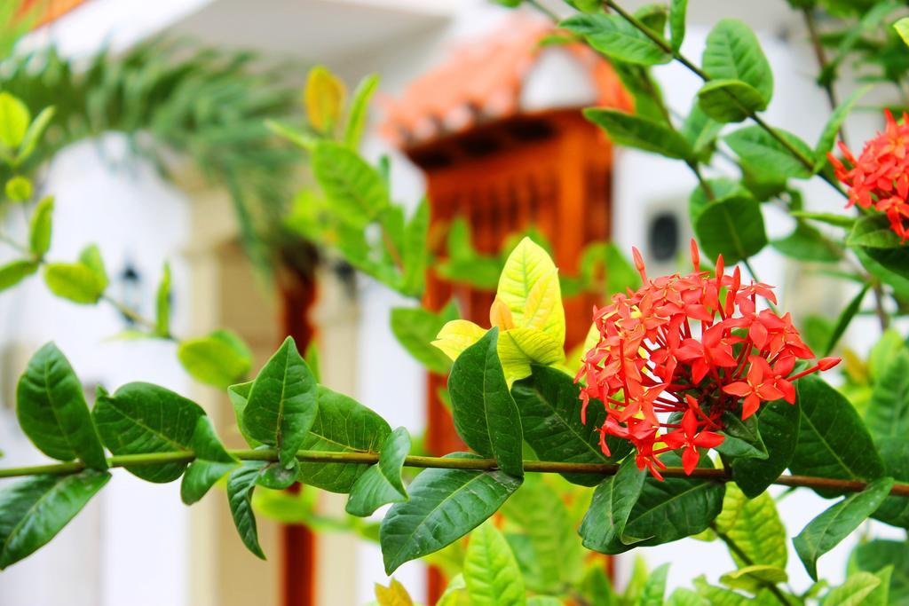 Сasa de vacaciones Casa Marqués Del Pedregal *
