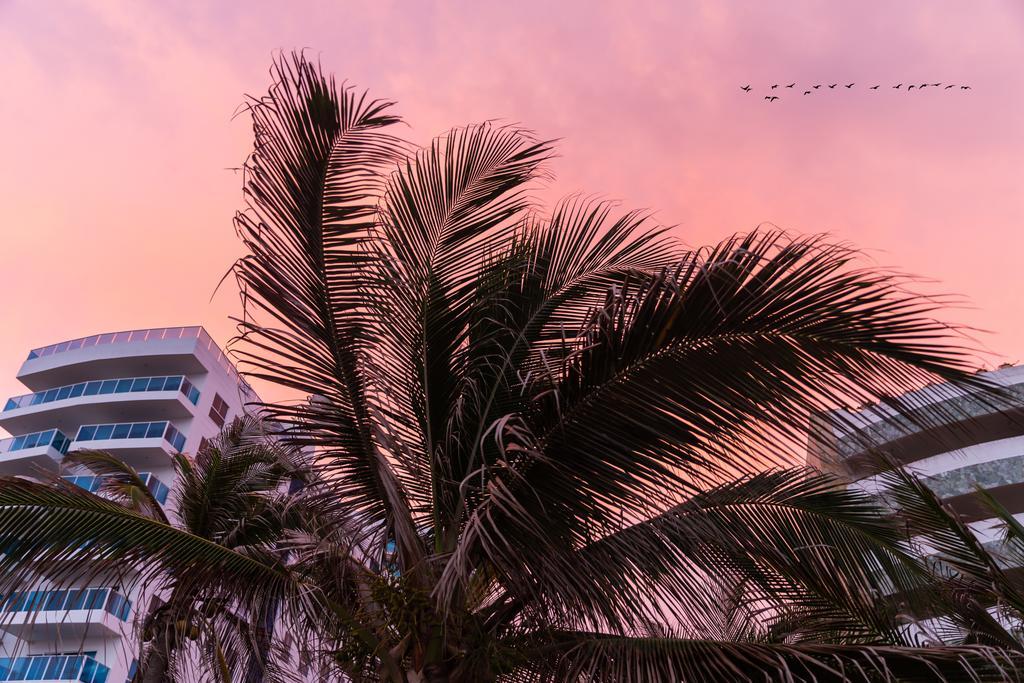 Vistamarina Casa (adults Only) Hotel