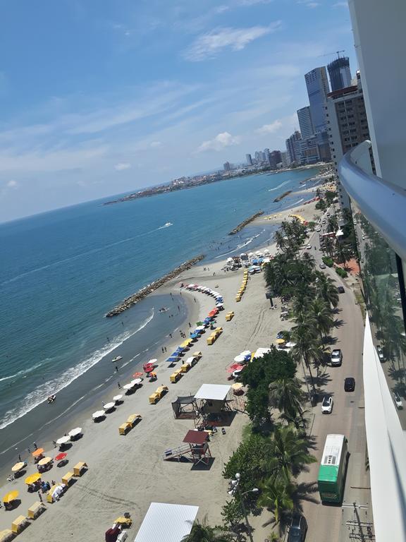 Apartamento Palmetto Eliptic Bahia