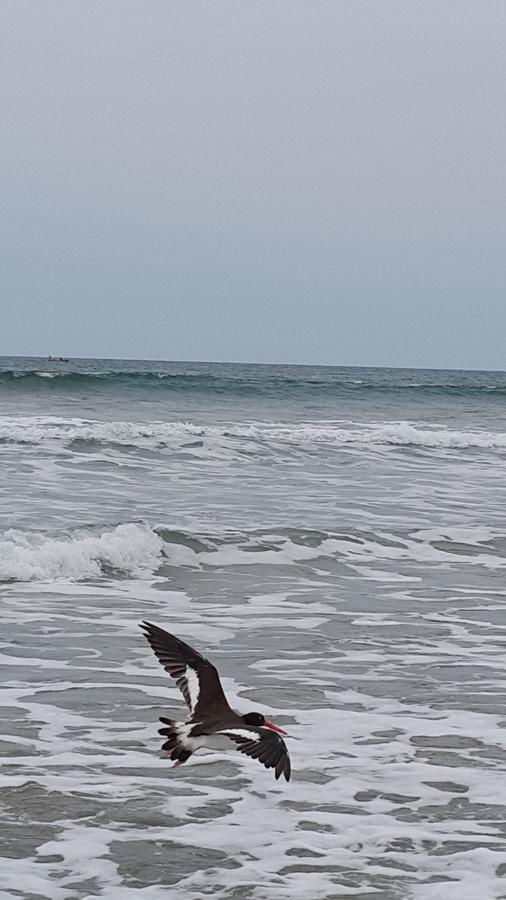 Del Mar *