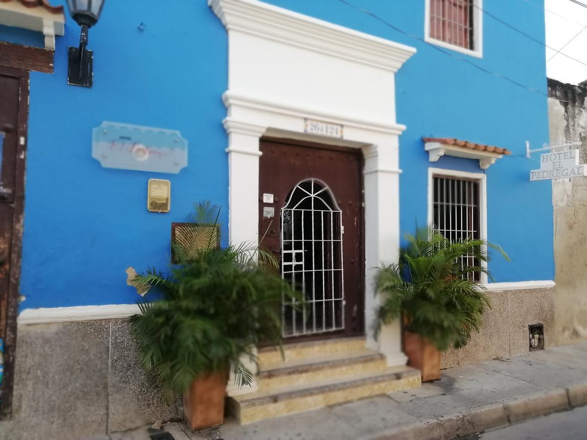 El Pedregal