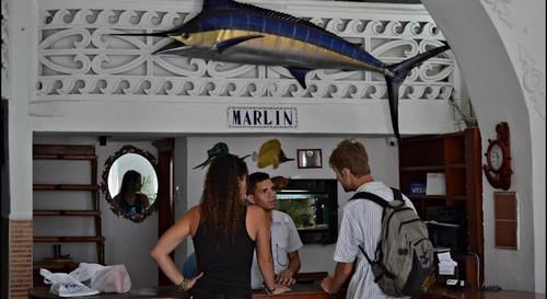 Marlin * Cartagena