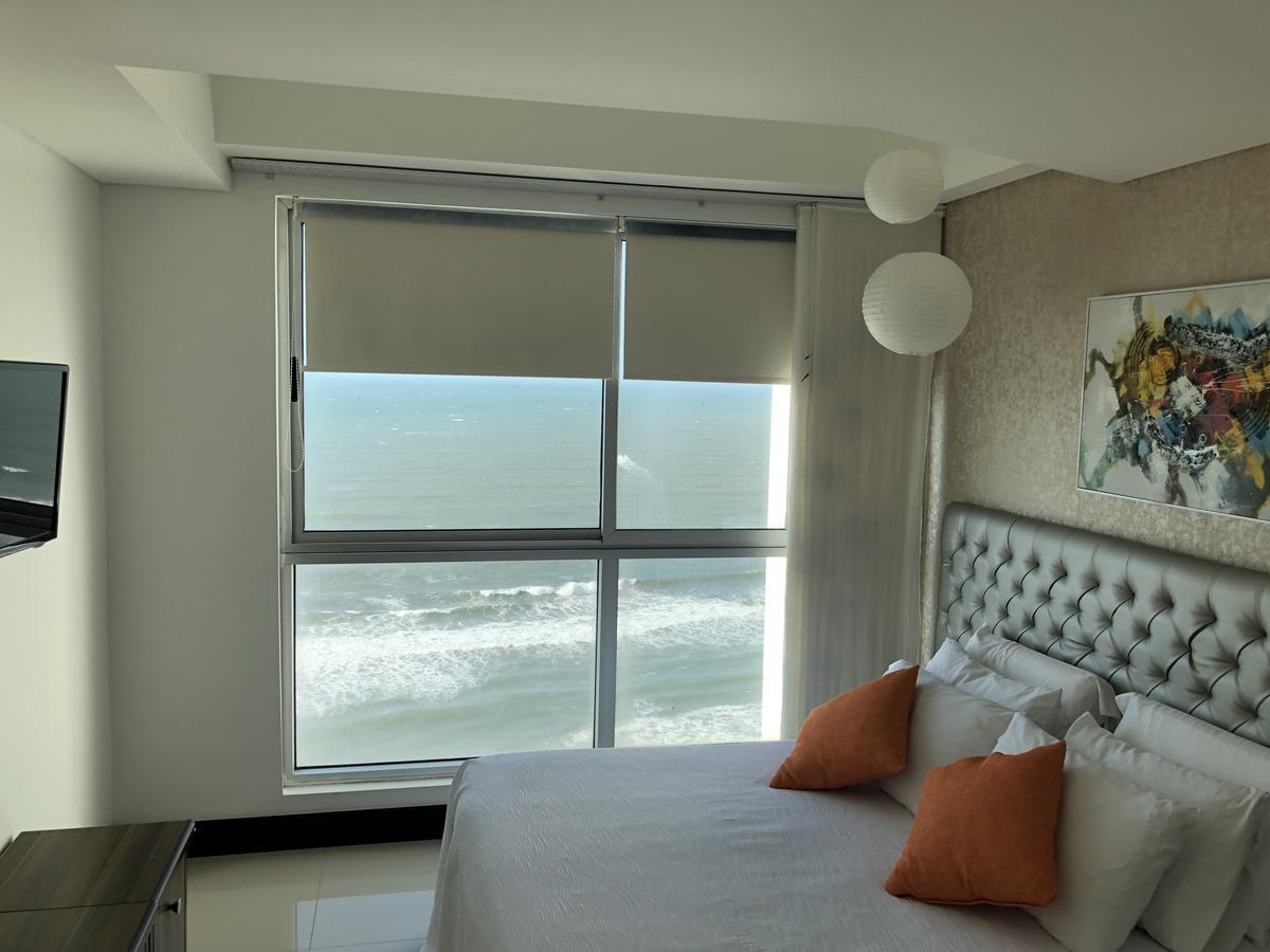 Palmetto Eliptic Bahia *