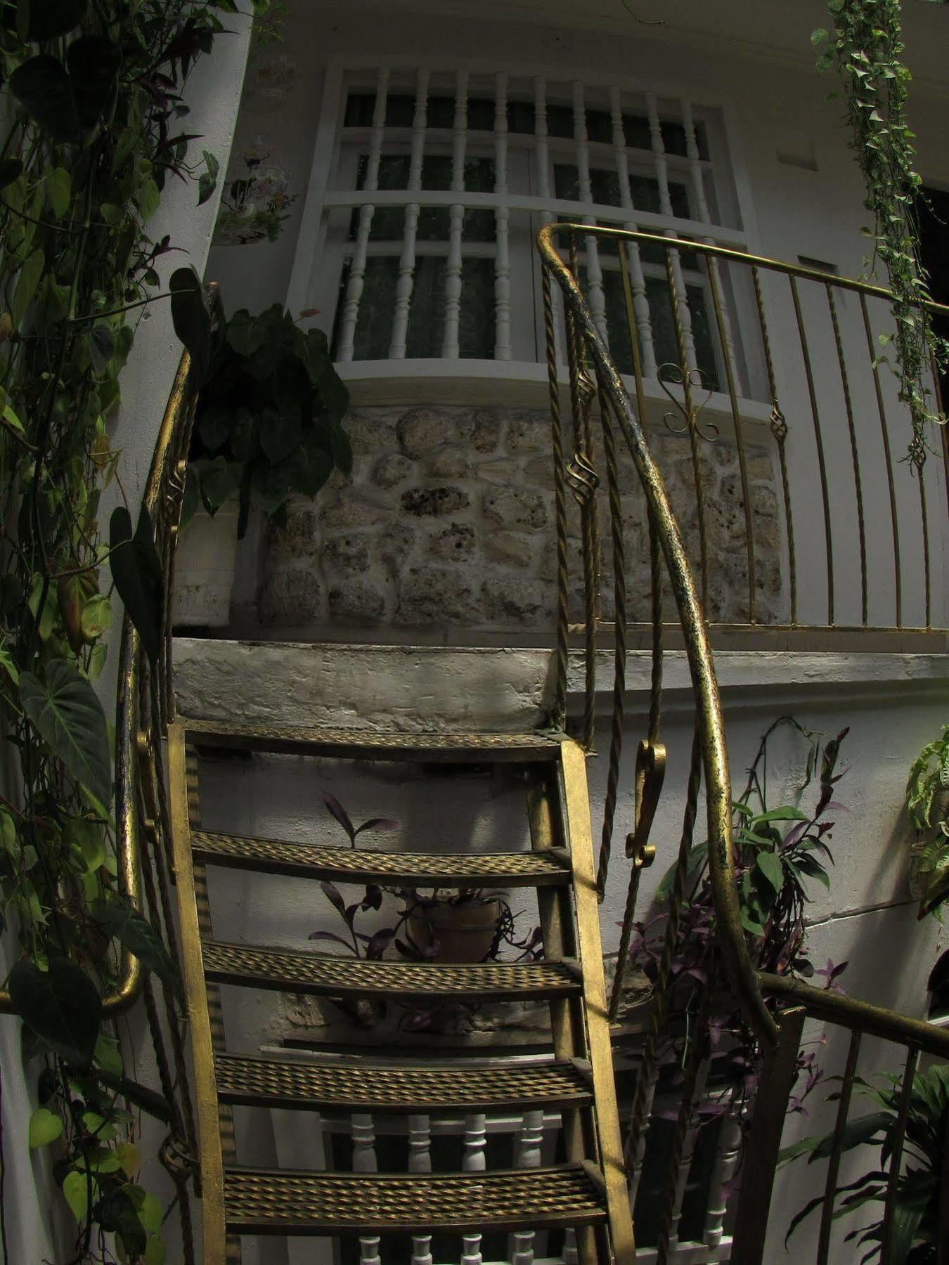 Hotel Casa Mary