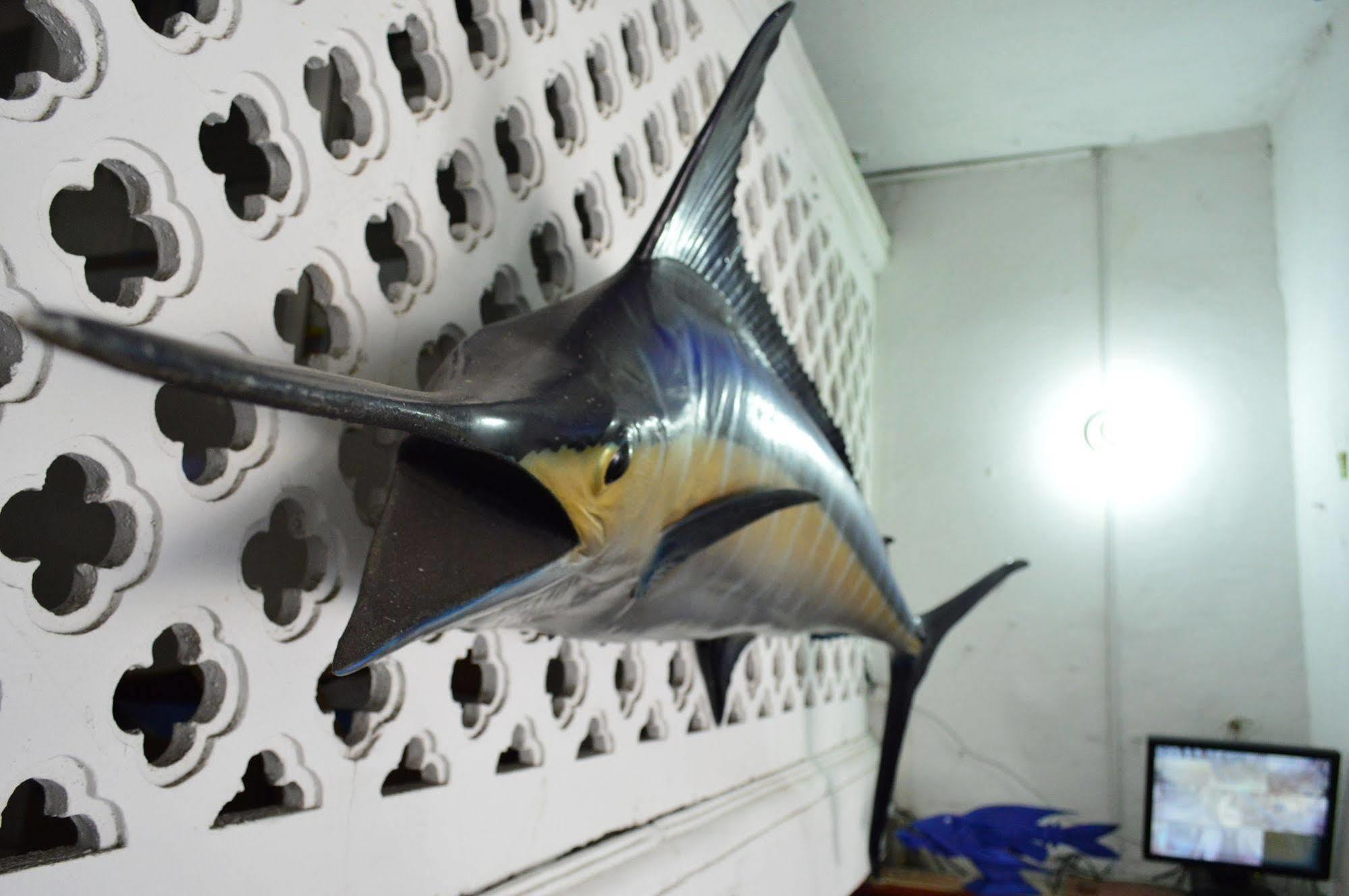 Marlin * Cartagena