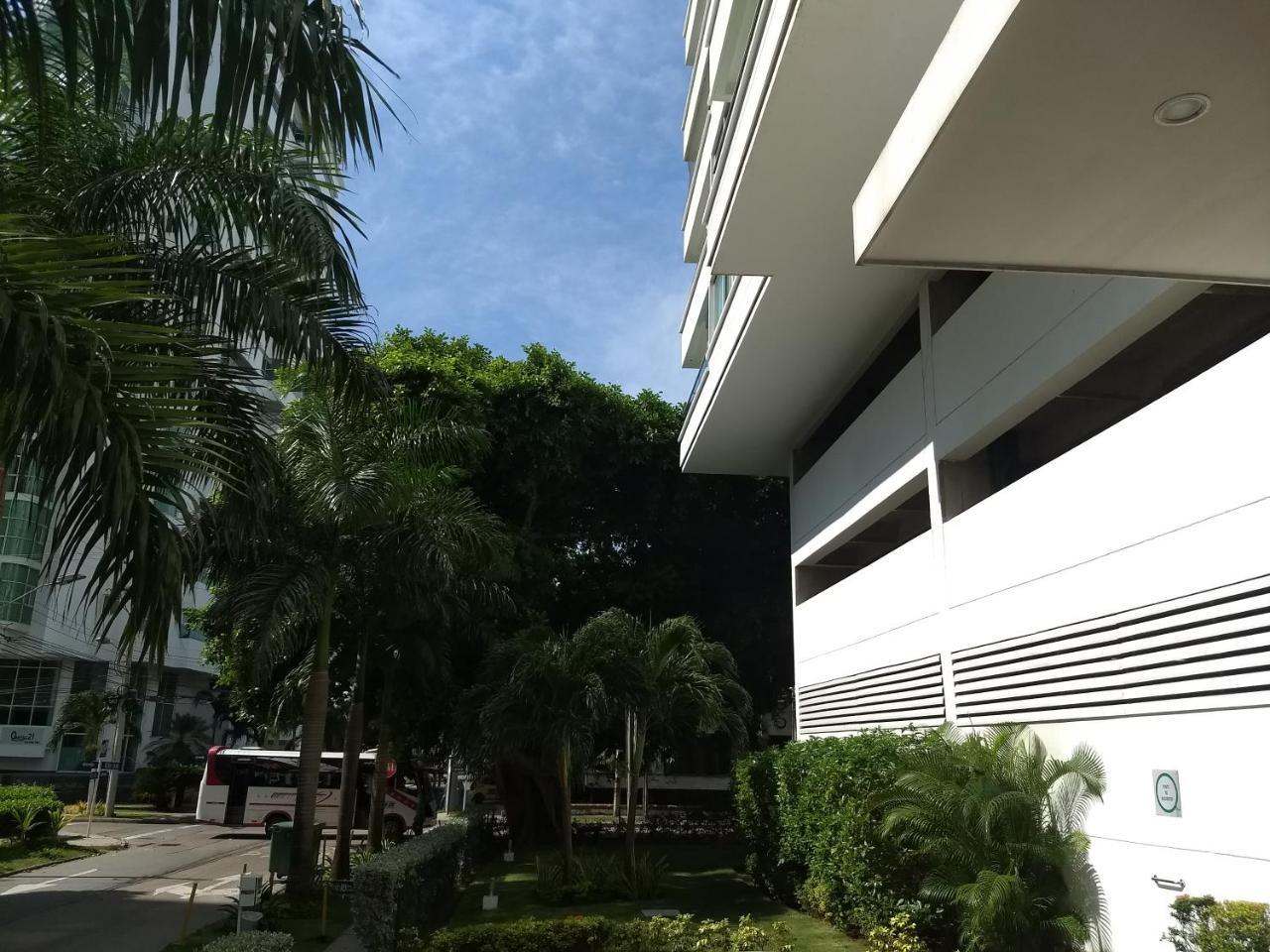 Premium Flat