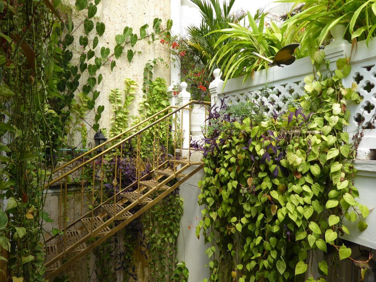 Hotel Casa Mary