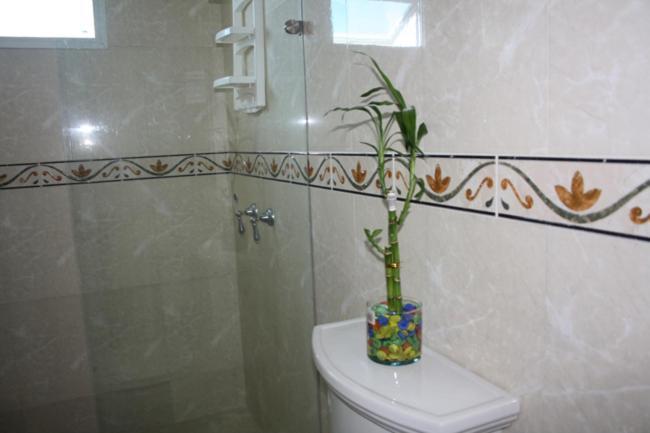 Nice Apartment