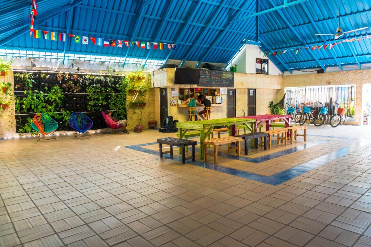 Wonderland By Gb Collection Hostal Cartagena