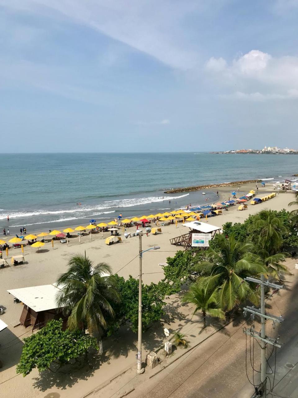 Palmera Cartagena