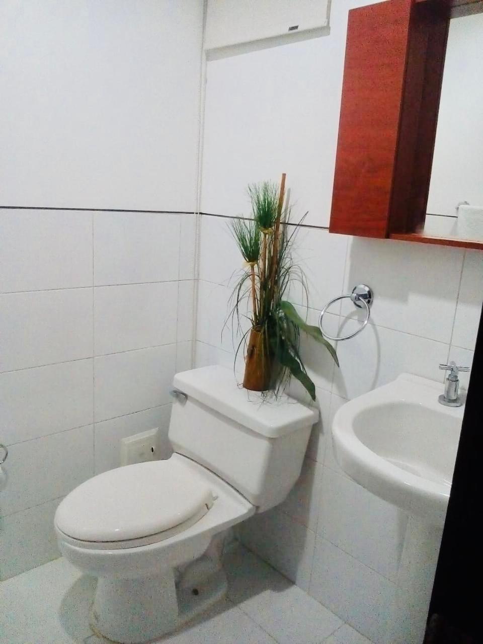Apartamento Frente A La Playa Morros 922 *