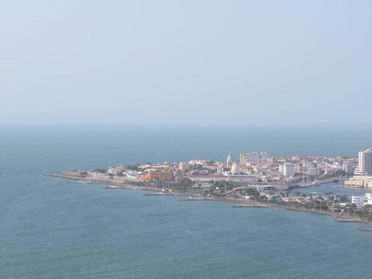 Palmetto2803 Cartagena