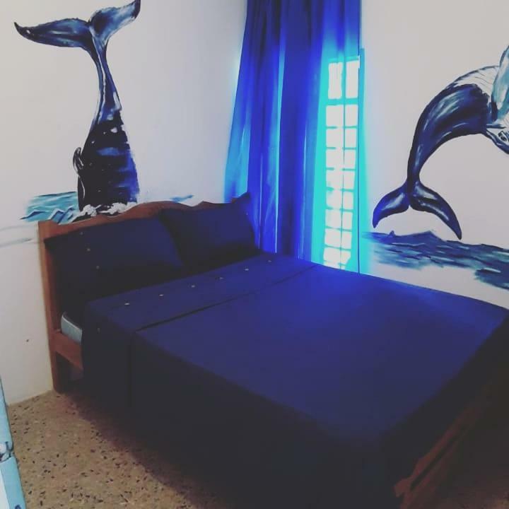 Aquarium Guest house 2*