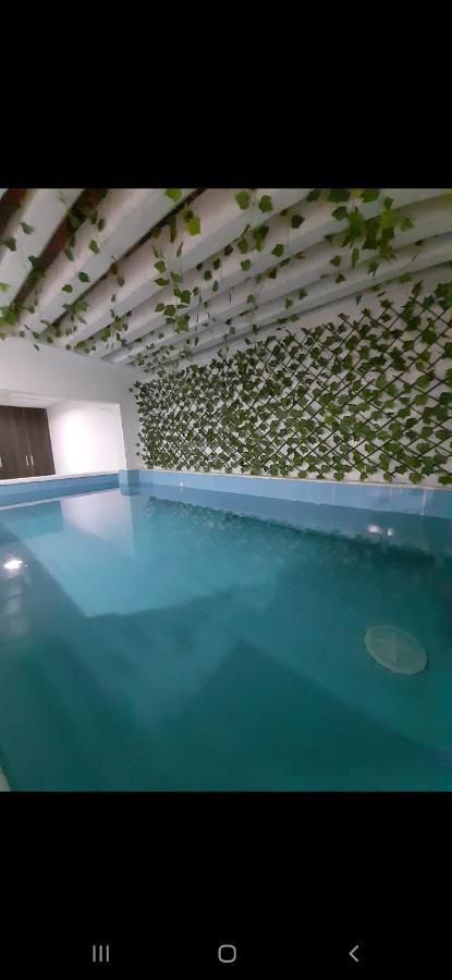 New Palenque - Privadas Bed and breakfast *