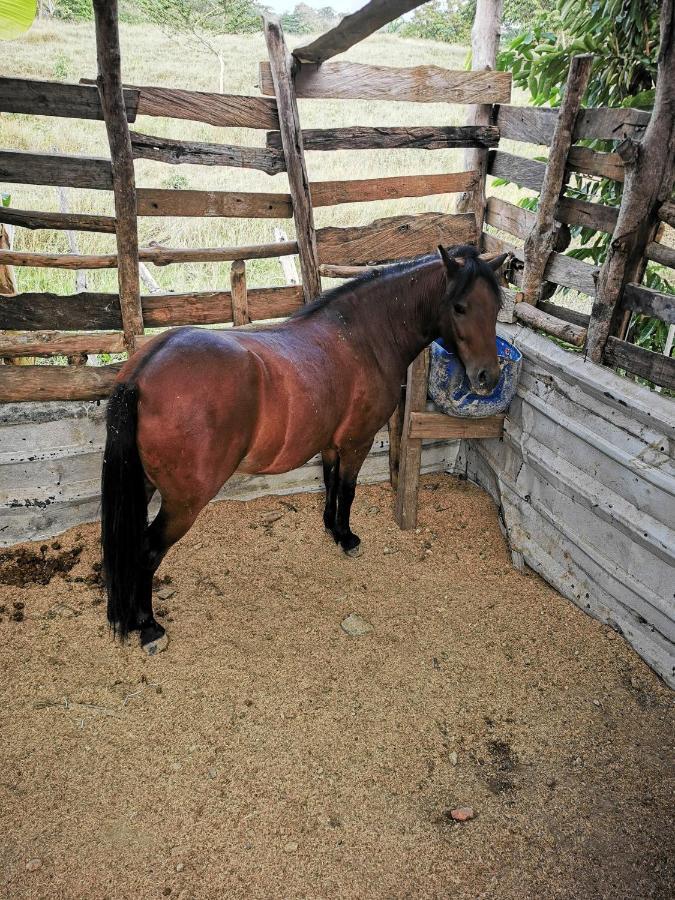 Camping Ponylandia Campestre Cartagena