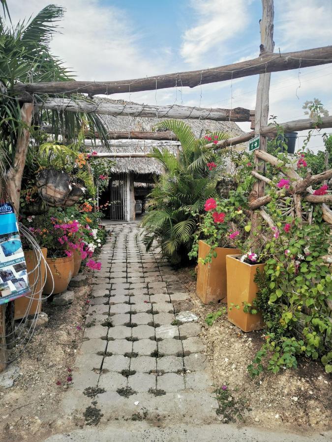 Ponylandia Campestre Camping