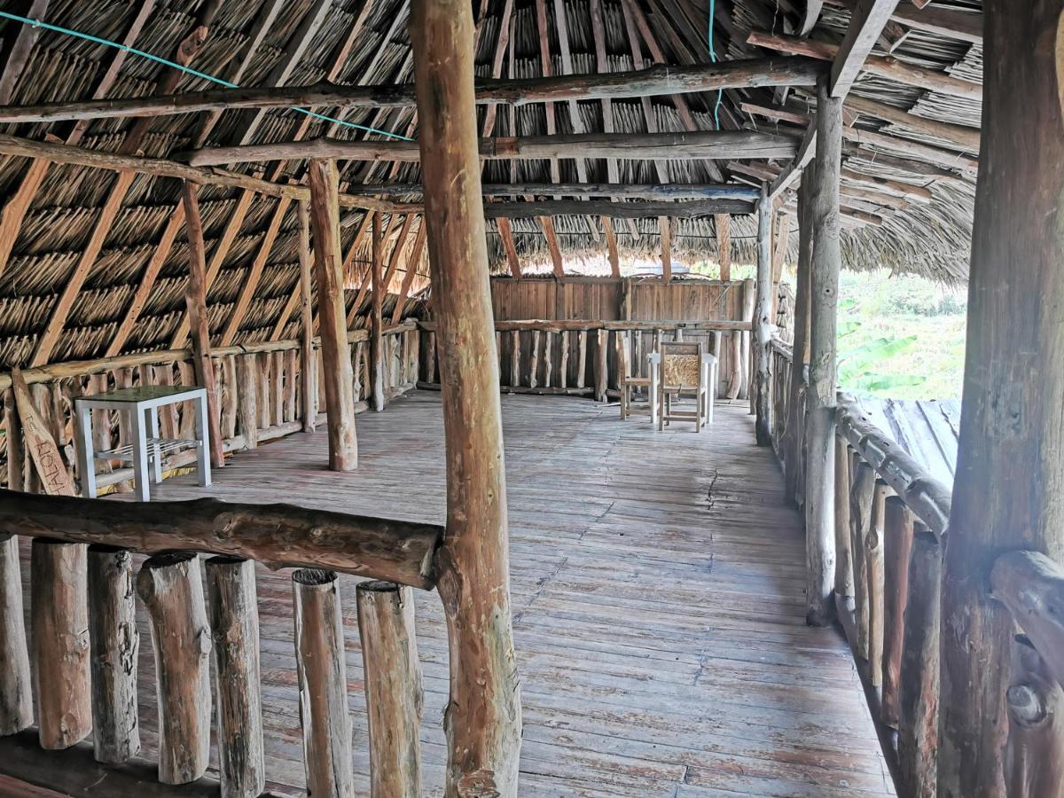 Ponylandia Campestre
