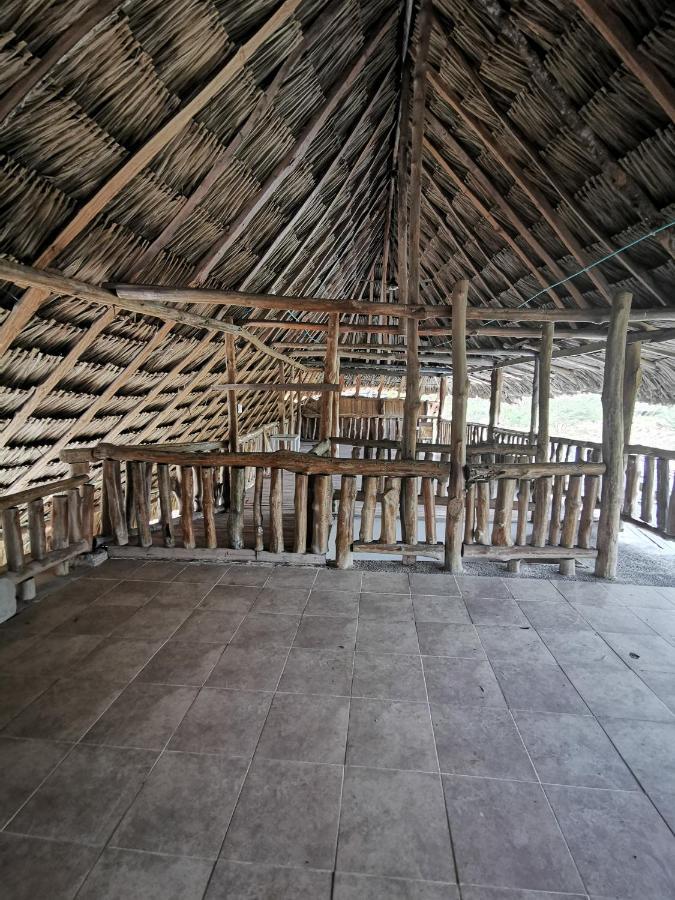 Ponylandia Campestre Camping
