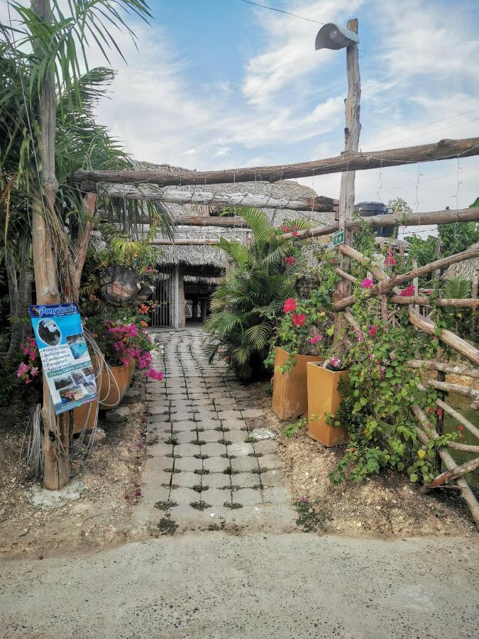 Ponylandia Campestre Camping Cartagena