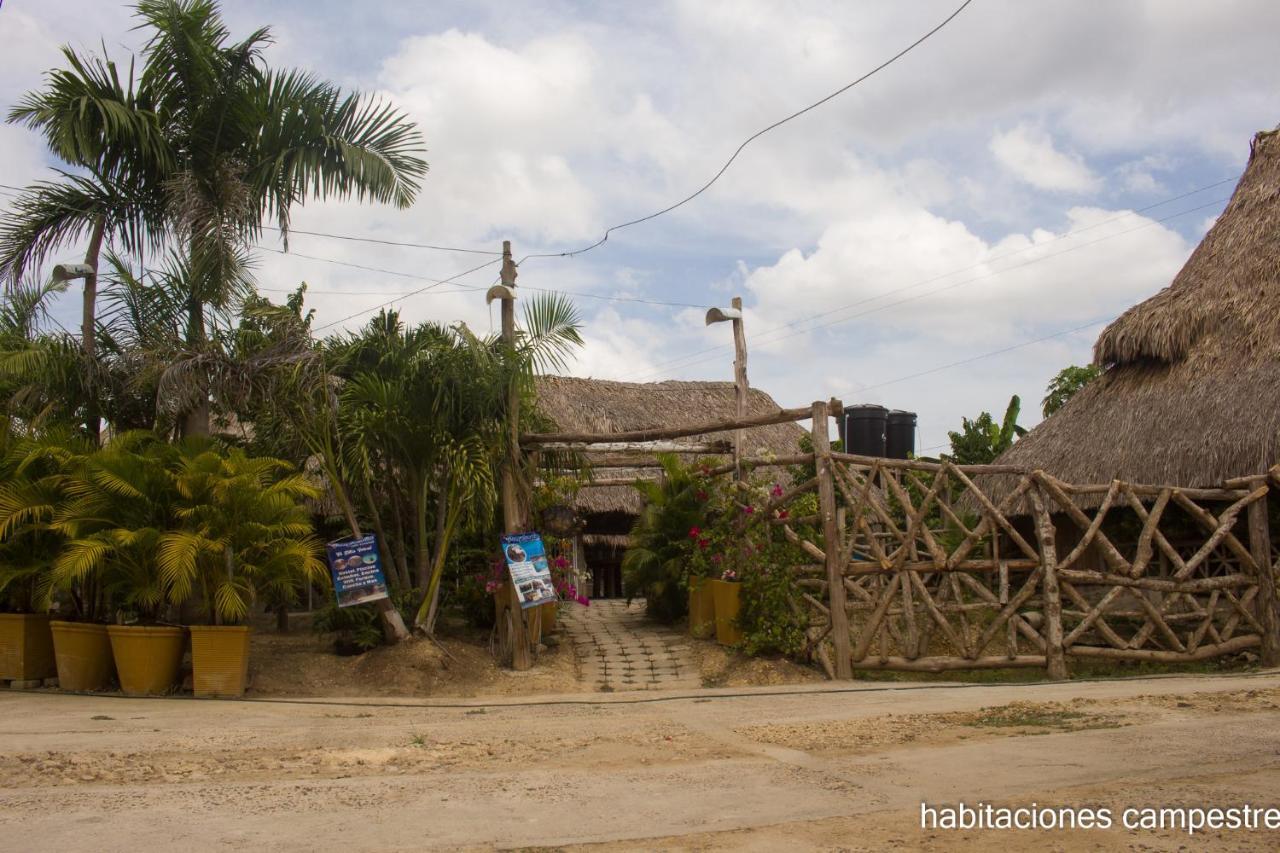 Ponylandia Campestre