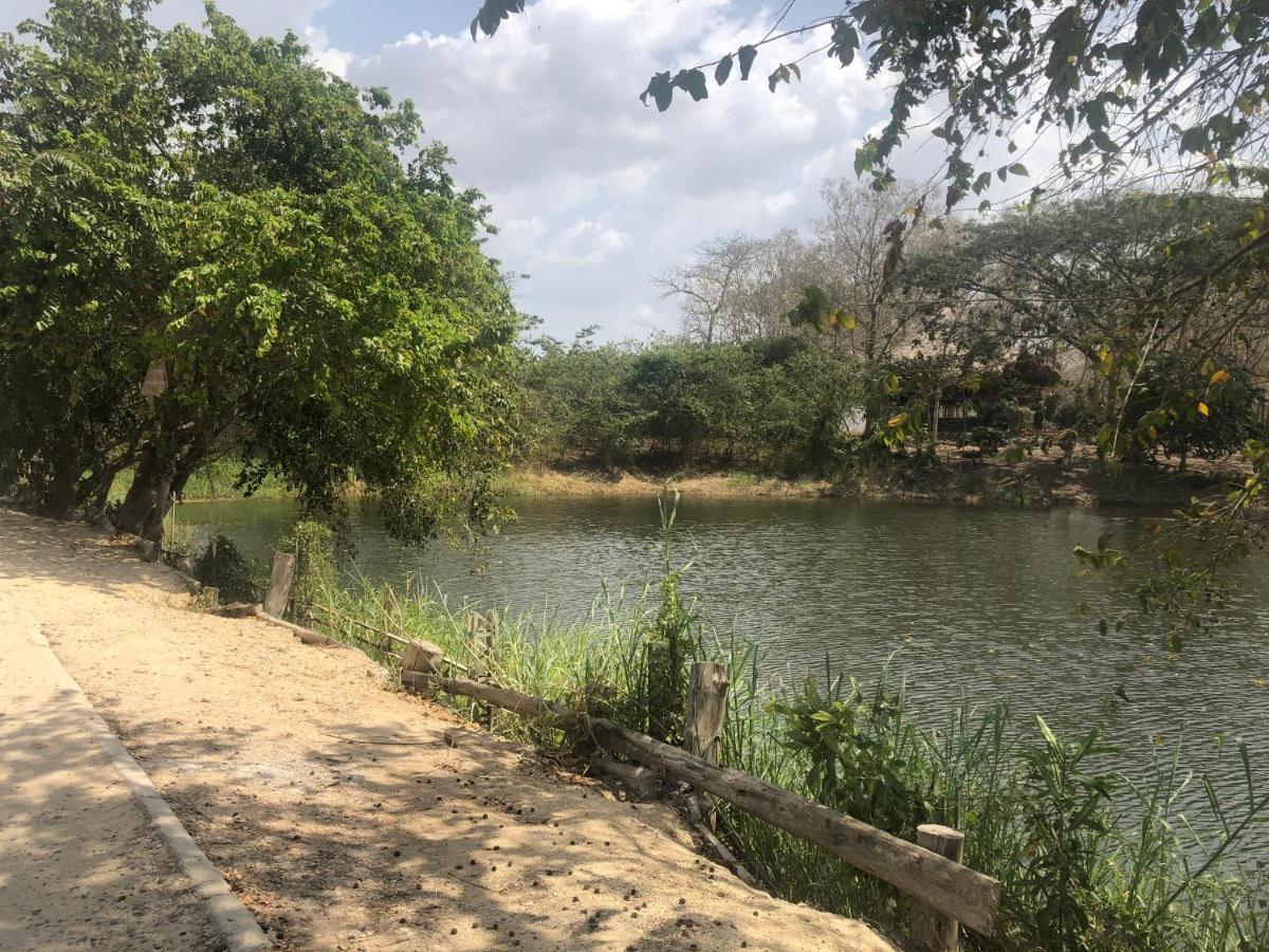 Ponylandia Campestre * Cartagena