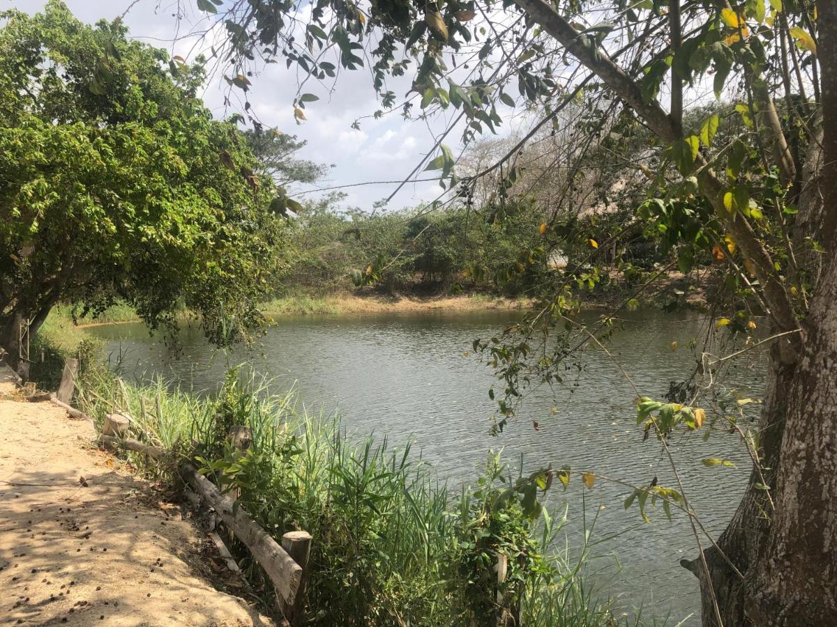 Camping Ponylandia Campestre