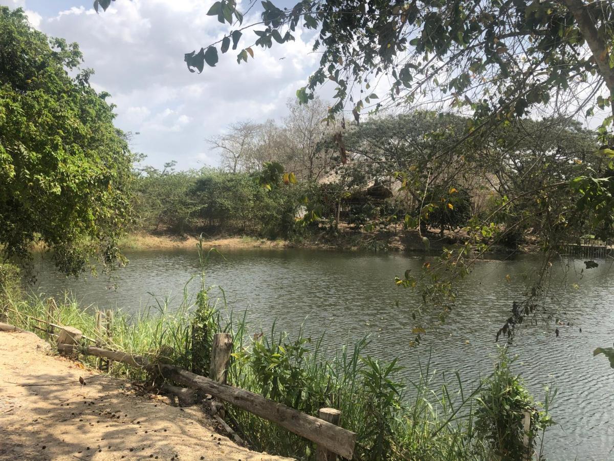 Ponylandia Campestre Camping Cartagena