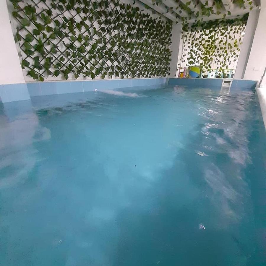 New Palenque - Privadas Bed and breakfast *