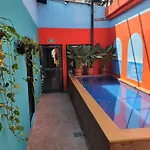Birds Hostel