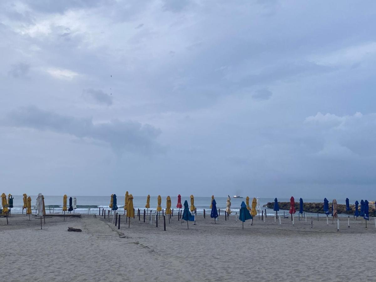 Apartamento Lujoso A Un Minuto De La Playa Del Laguito, La Mejor Playa De De Indias Apartamento *