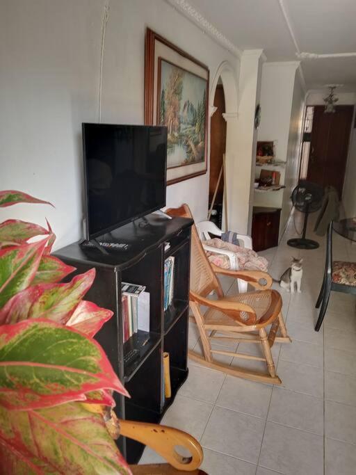 Doble En Castillos Del Loira Apartamento *