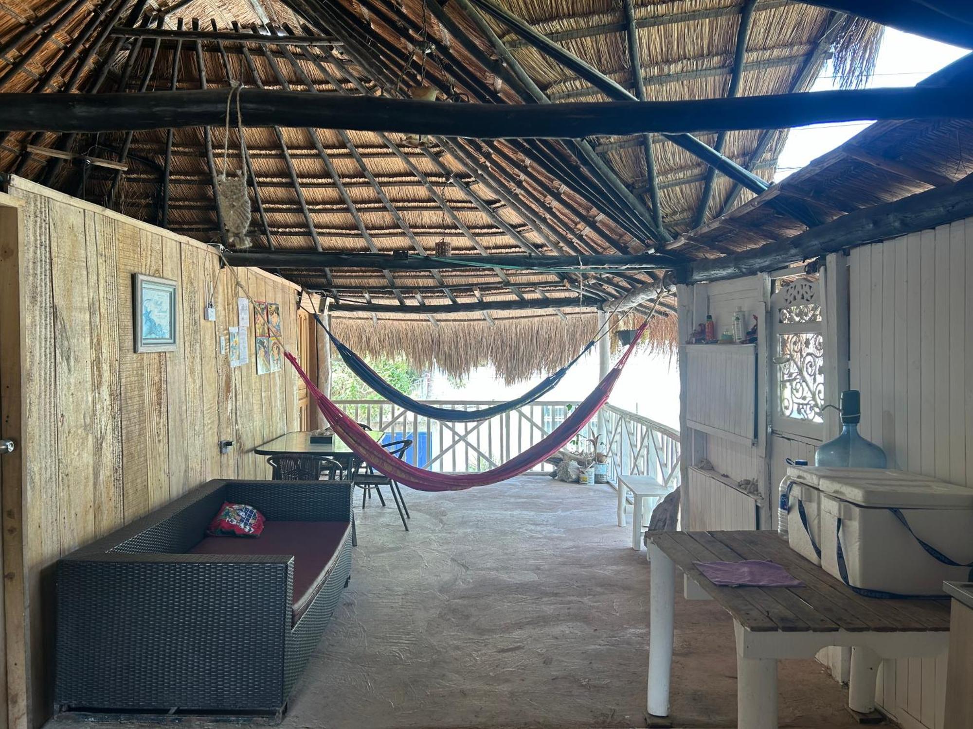 Punta Arena Ecohostal And Ecofit - Your Eco-friendly Oasis 01