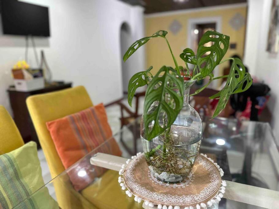 Apartamento Acogedor, Con La Mejor Ubicacion Y Patio Privado