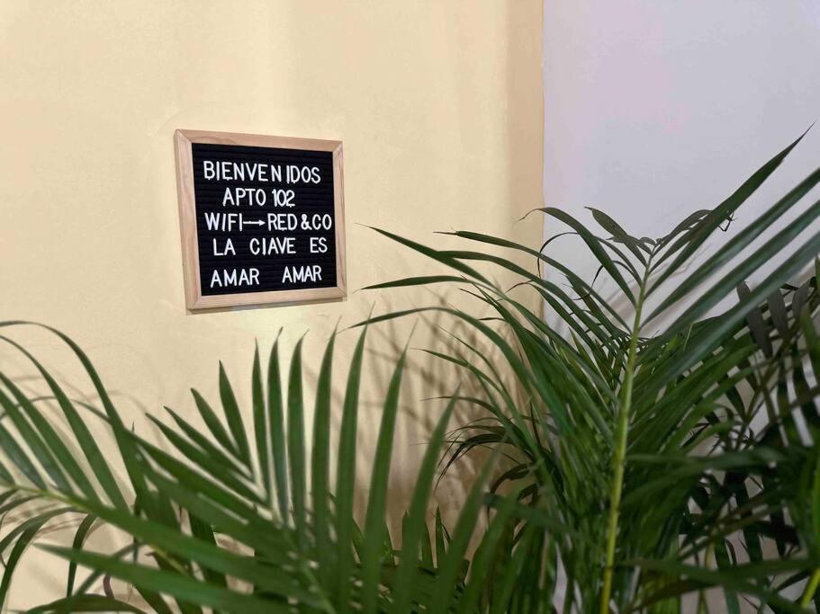 Acogedor, Con La Mejor Ubicacion Y Patio Privado
