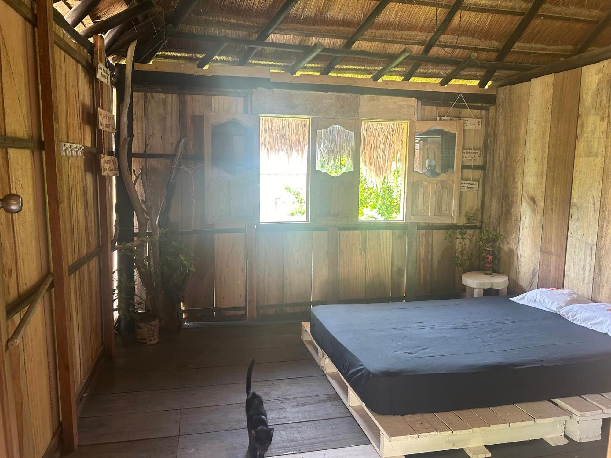 Punta Arena Ecohostal & Ecofit - Your Eco-conscious Oasis Guest house *