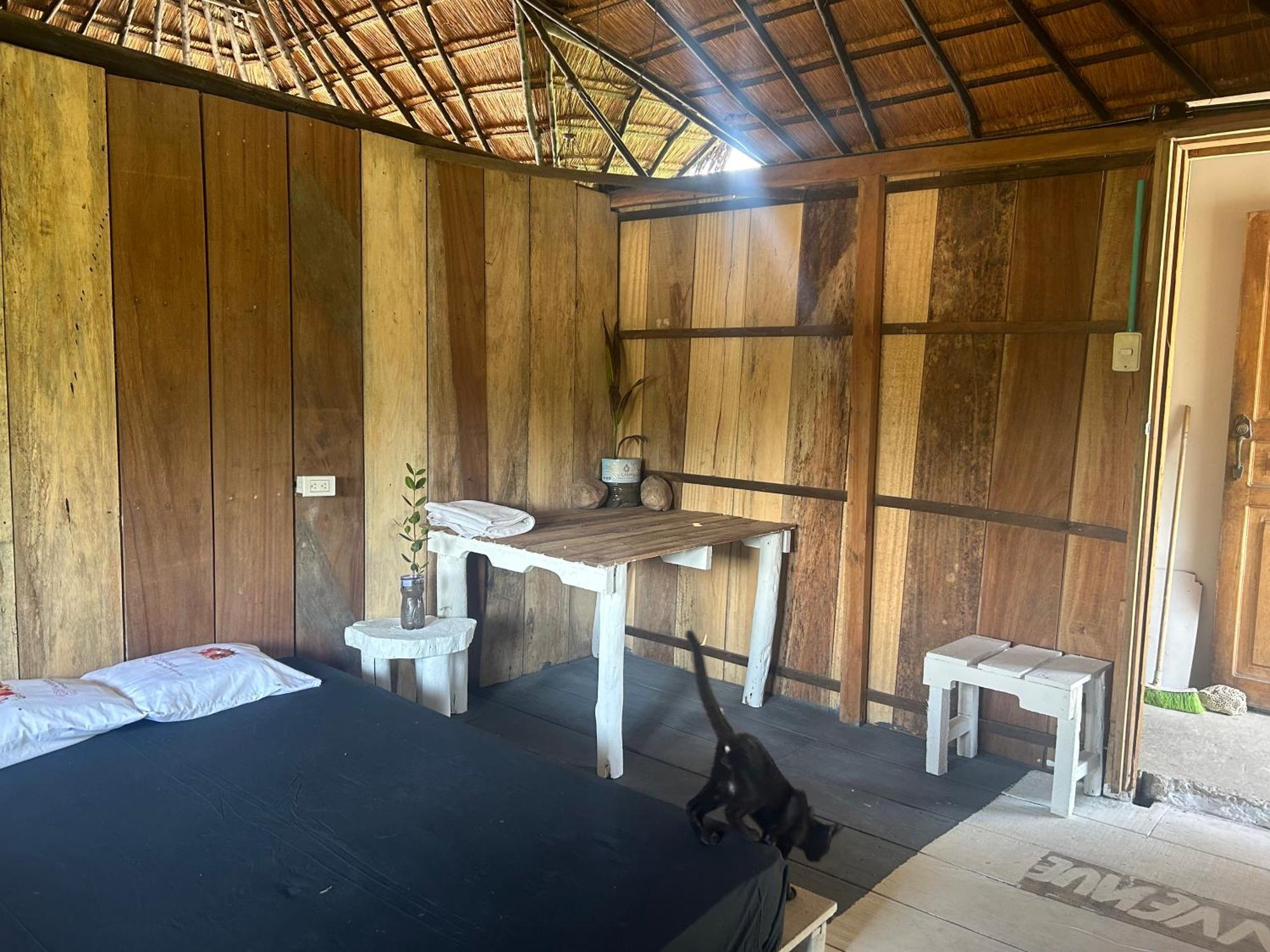 Punta Arena Ecohostal & Ecofit - Your Eco-conscious Oasis Guest house *