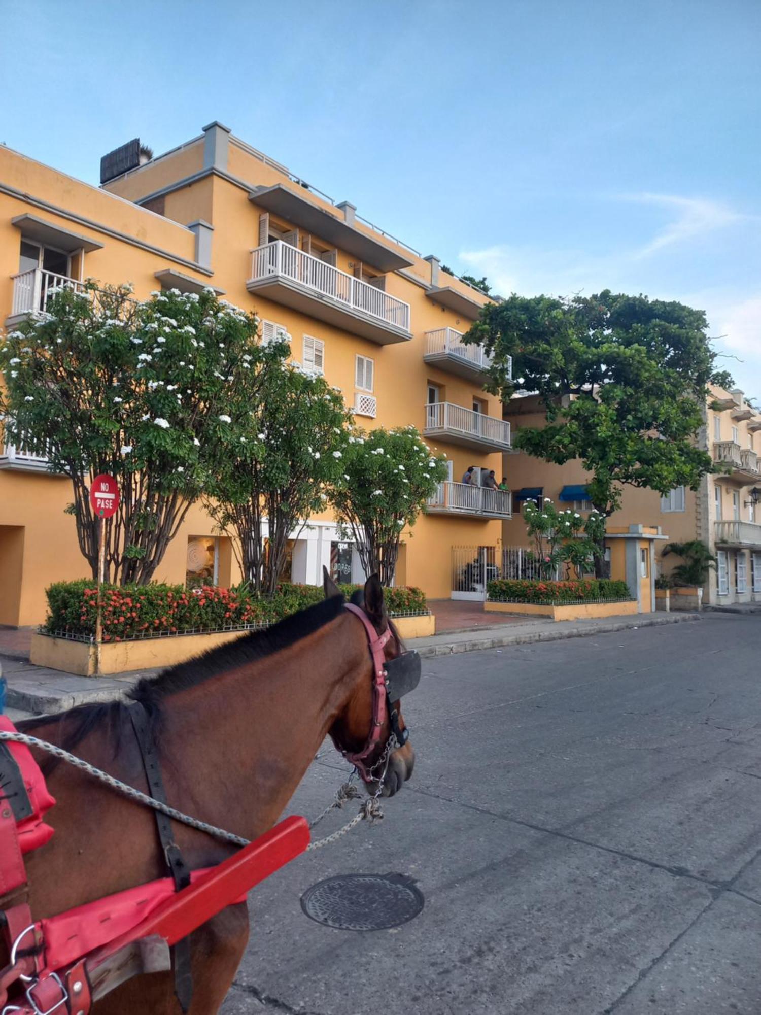 Centro Historico * Cartagena