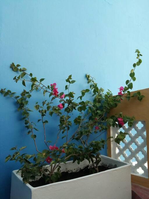 Сasa de vacaciones Charming Colonial With Pool, Walled *