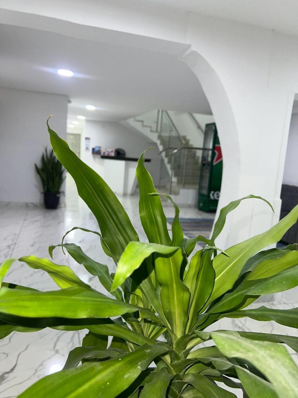 Boutique Hotel