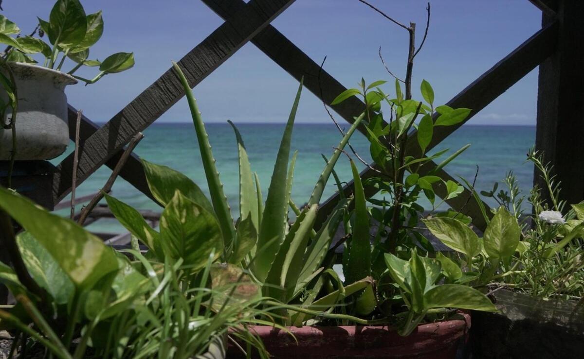 Beautiful Facing The Caribbean Sea! * Cartagena