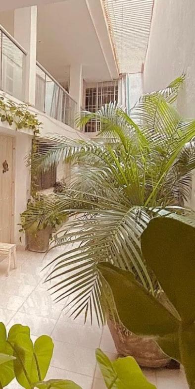 Apartamento La Iglesia