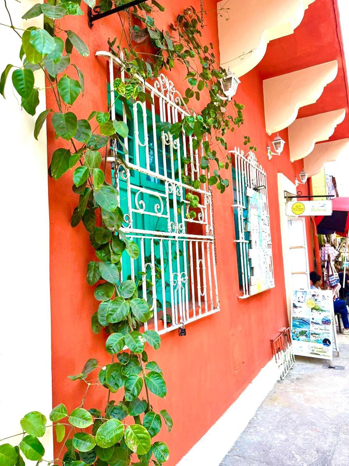 La Viduka Hostel