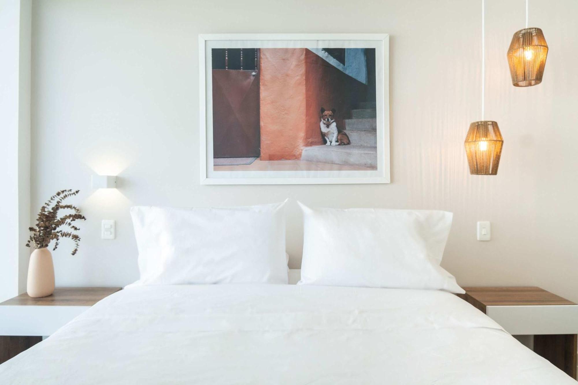 Apartamento Impeccable 2br With Charming Balcony In Sunset