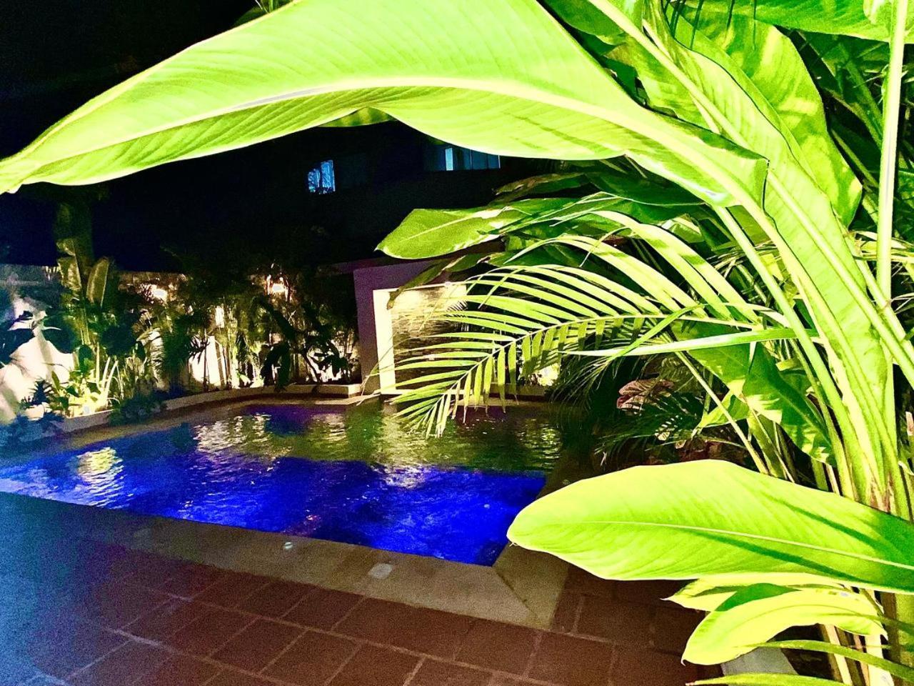Casa De La Cuarta Guayacan Blue *